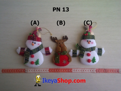 PN 13 A C  large2